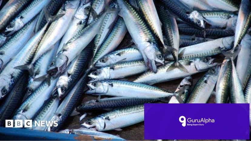 Supermarkets Swap Tinned Mackerel for Inferior Species in Latest Skimpflation Surge