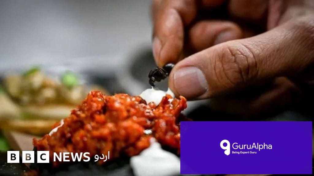 South Korean Fine Dining Eatery Fined Millions for Serving 49,000 Crushed Ants